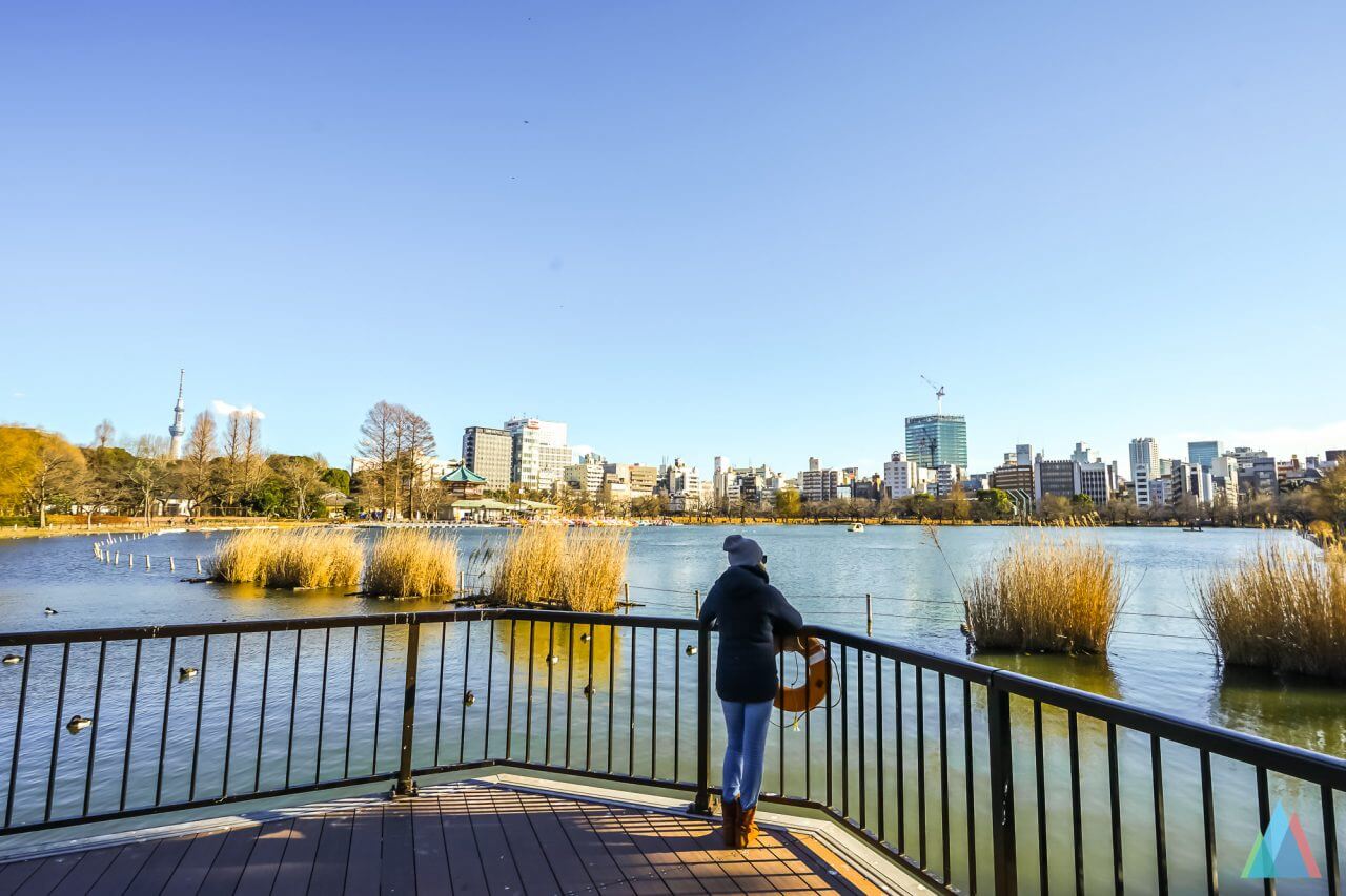 ueno-zoo-tokyo-citytrip