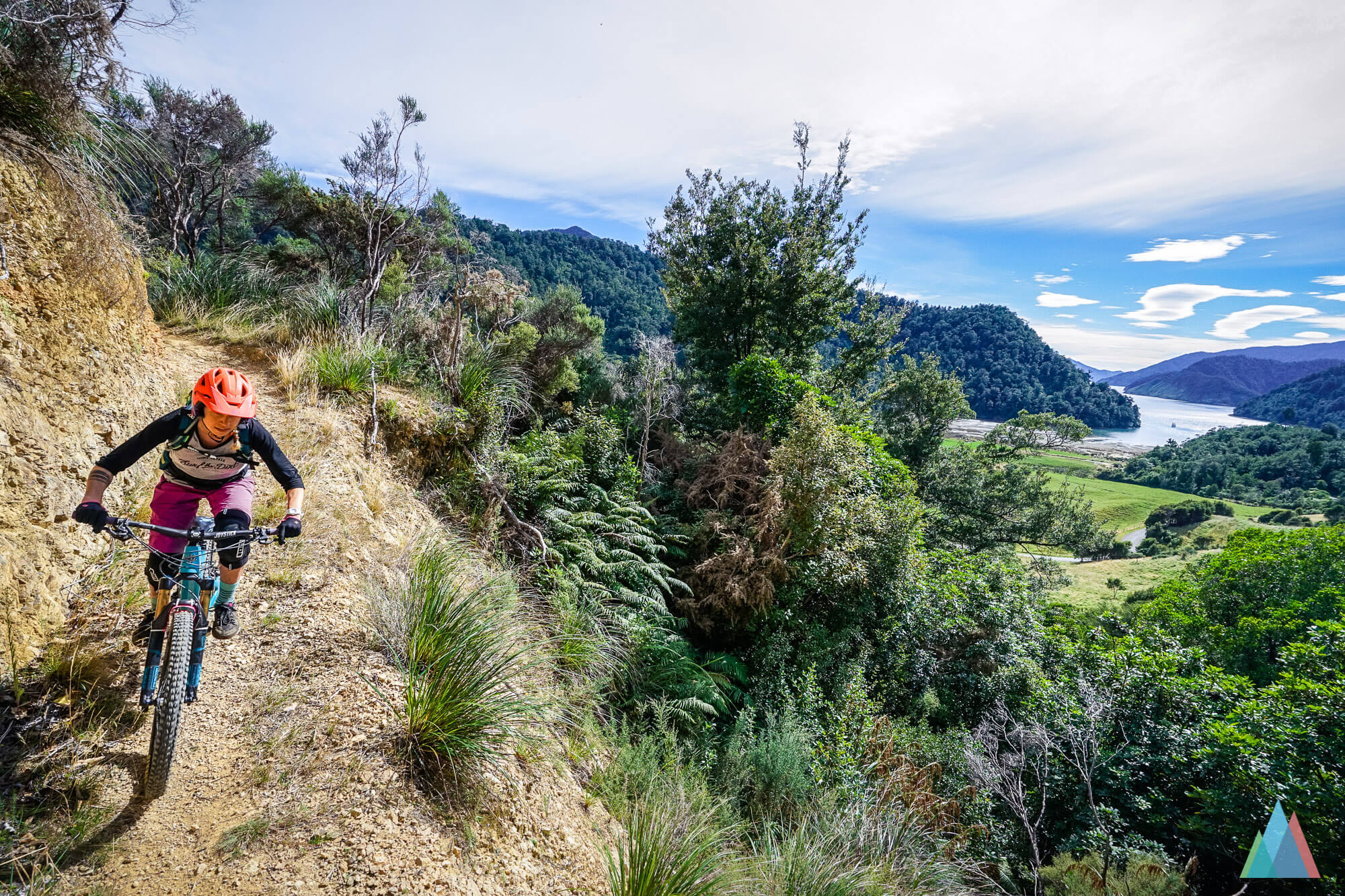 #nzmustdo Nydia Track – a singletrail bike adventure