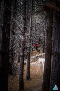 wanaka-new-zealand-mtb-trails-sticky-forest-corner-gbh