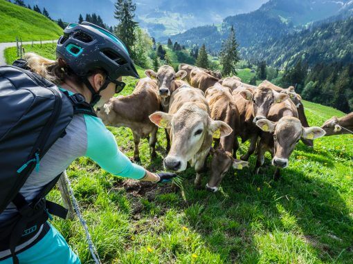 Entlebuch: Around the Schrattenfluh